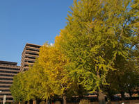PA318552_resize1.jpg