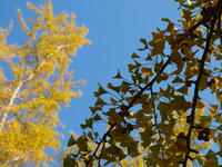 PA318558_resize1.jpg