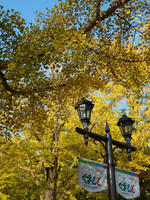 PA318568_resize1.jpg