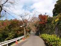 PB078596_resize1.jpg