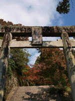 PB078601_resize1.jpg