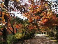 PB078603_resize1.jpg