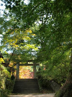 PB078608_resize1.jpg
