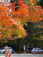 PB078616_resize1.jpg