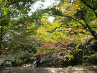PB078628_resize1.jpg