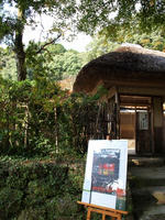PB078630_resize1.jpg
