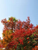 PB078639_resize1.jpg