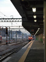 PB078643_resize1.jpg