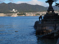 PB148781_resize1.jpg