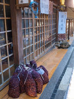 PB148797_resize1.jpg