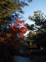 PB148803_resize1.jpg