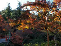 PB148808_resize1.jpg
