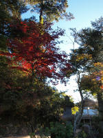 PB148824_resize1.jpg