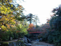 PB148816_resize1.jpg