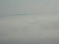 PB250035_resize1.jpg