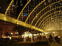 PC210082_resize1.jpg