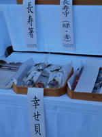 P1010192_resize1.jpg