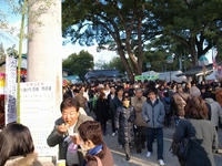 P1010194_resize1.jpg