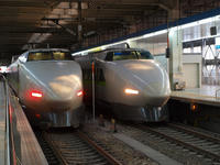 P2281010_resize1.jpg