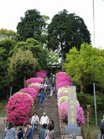 P4264959_resize1.jpg