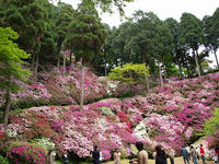 P4264973_resize1.jpg