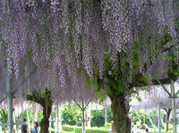 P5030383_resize1.jpg