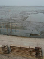 P6060025_resize1.jpg