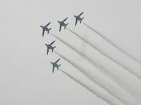 P6010287_resize1.jpg