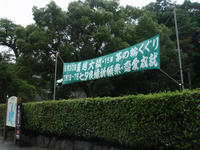 P7060004_resize1.jpg