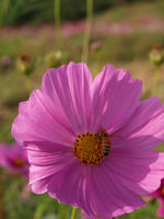 PA156023_resize1.jpg