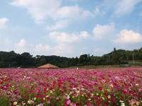 PA156035_resize1.jpg