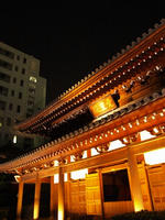 PA178209_resize1.jpg