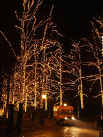 P1260595_resize1.jpg