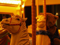 P1260641_resize1.jpg
