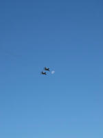 PC069448_resize1.jpg