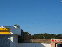 PC069848_resize1.jpg