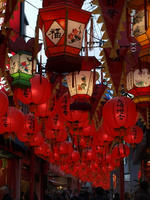 P2051043_resize1.jpg