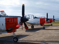 PA231385_resize1.jpg
