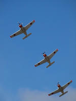 PA231411_resize1.jpg