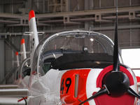 PA231468_resize1.jpg