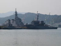P4243616_resize1.jpg