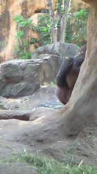 200809131135000.jpg