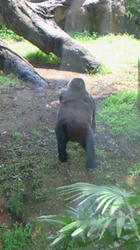 200809131136000.jpg