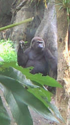 200809131137000.jpg