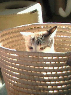 200810201451000.jpg