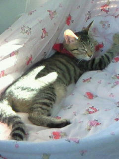 200810201450000.jpg