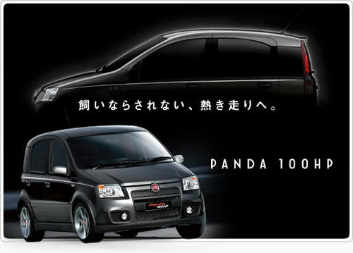 panda100hp.jpg