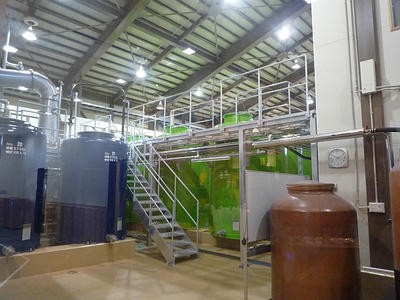 P1000431.JPG