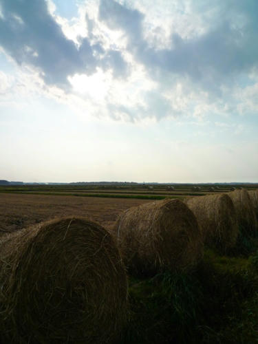 P1000480.JPG