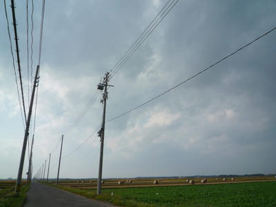 P1000484.JPG